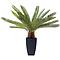 Plante décorative 78cm CYCAS TREE Kare Design