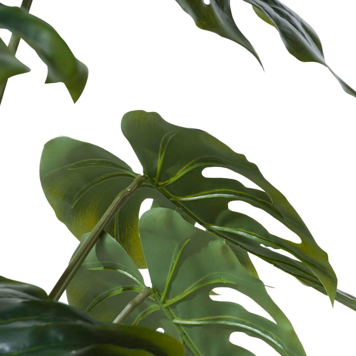 Plante MONSTERA Coco Maison