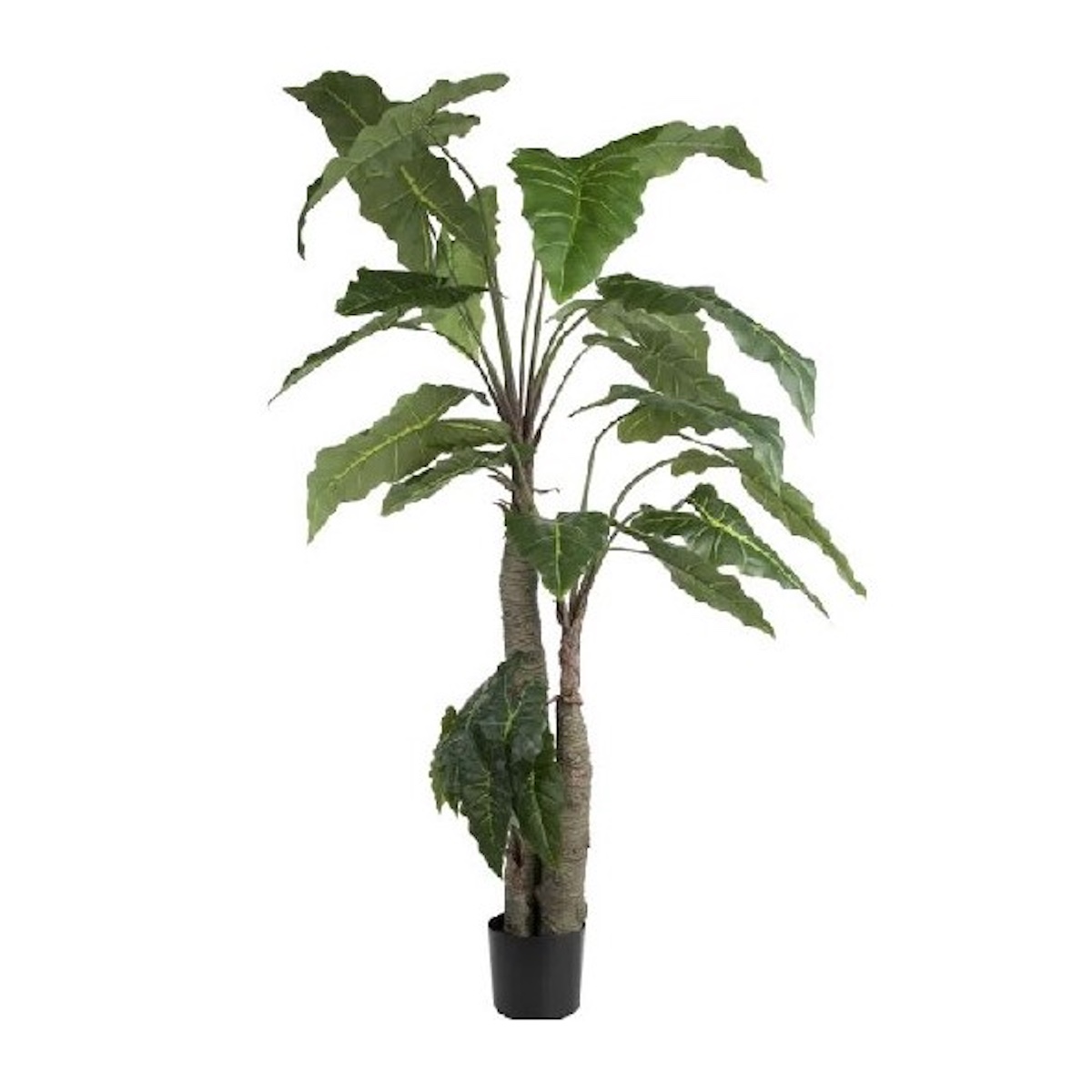 Plantes artificielle 180cm ALOCASIA Géante Coco Maison