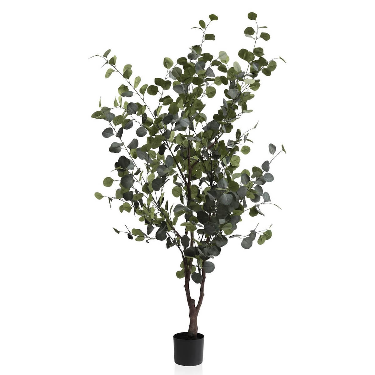 Plantes artificielle 180cm EUCALYPTUS Coco Maison