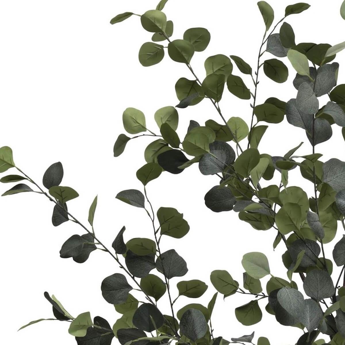 Plantes artificielle 180cm EUCALYPTUS Coco Maison