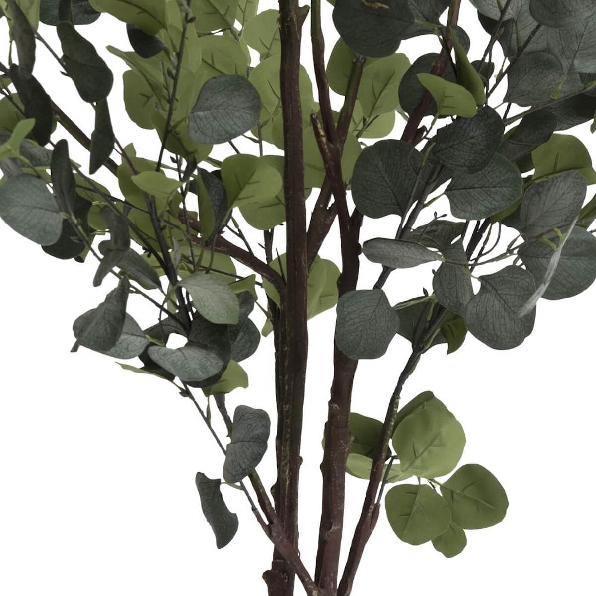 Plantes artificielle 180cm EUCALYPTUS Coco Maison