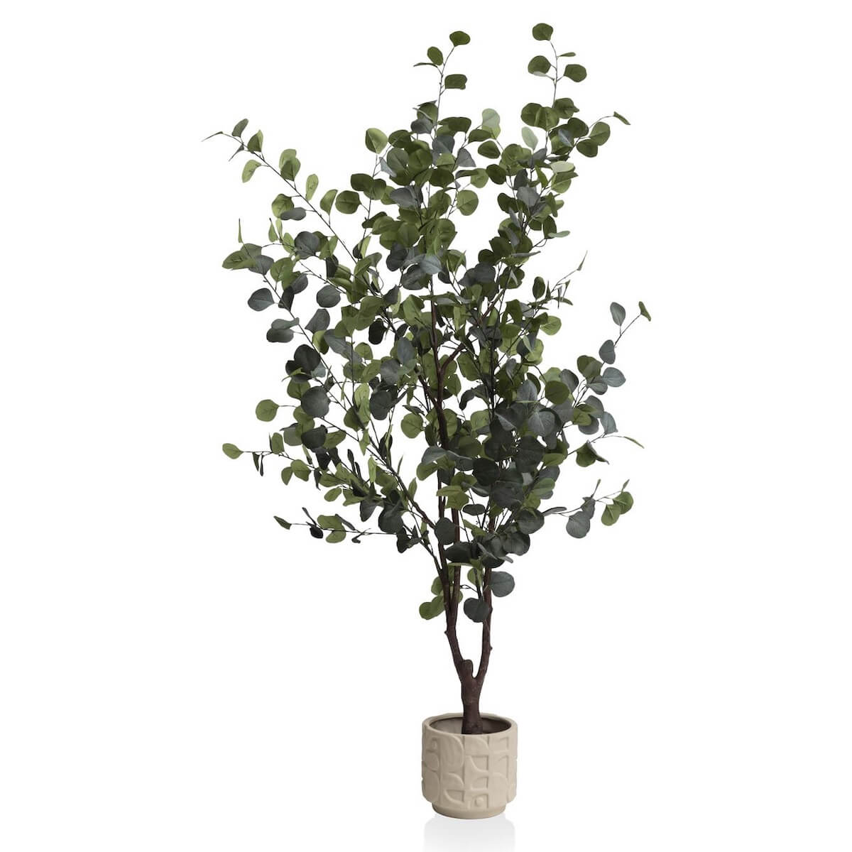Plantes artificielle 180cm EUCALYPTUS Coco Maison