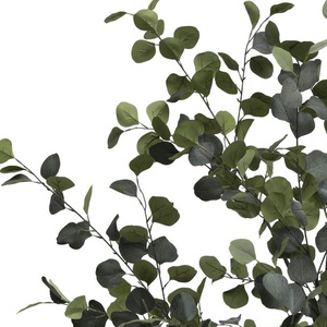 Plantes artificielle 180cm EUCALYPTUS Coco Maison