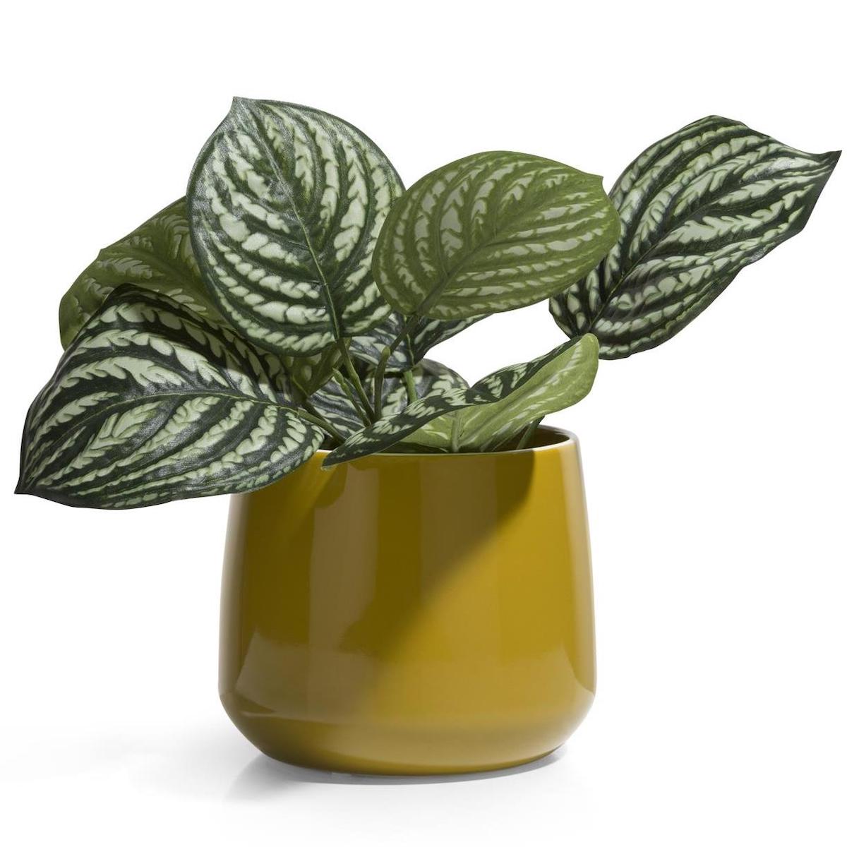 Pot 13cm MIRA Coco Maison