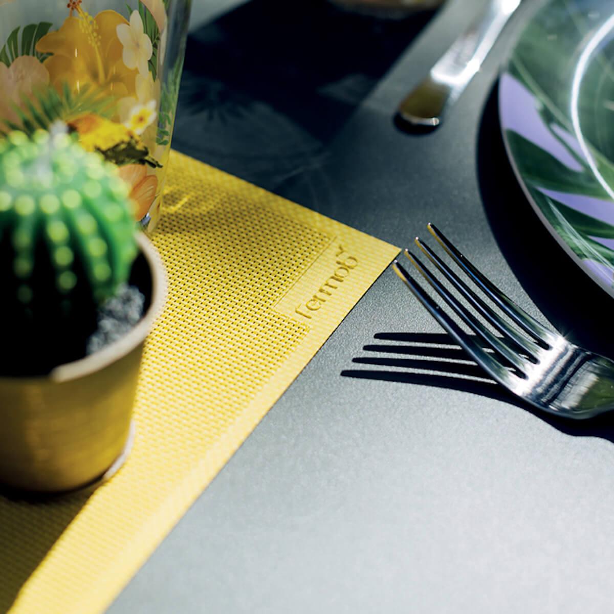 Set de table LES BASICS Fermob cactus