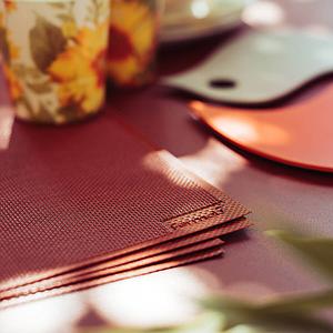 Set de table LES BASICS Fermob Carbone-stereo