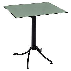 Table 60x70cm ARIANE Fermob cactus