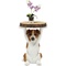 Table d´appoint 33cm ANIMAL MR. JACK Kare Design