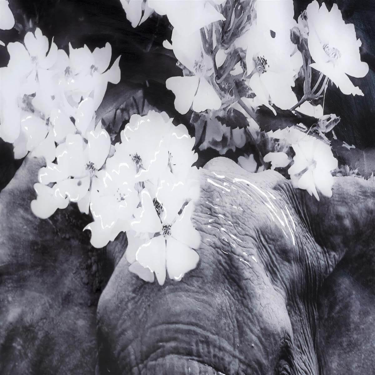 Tableau 100x68cm FLOWER ELEPHANT Coco Maison