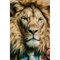Tableau en verre 150x100cm MISTER LION Kare Design