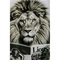 Tableau en verre 60x80cm BATH LION Kare Design