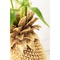 Vase 50cm PINEAPPLE Kare Design